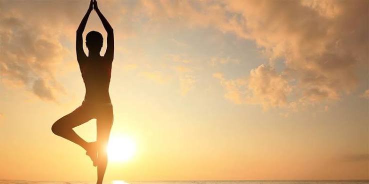 Meditation and Wellness: A Complete Guide for Beginners